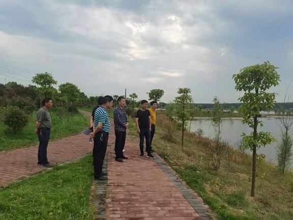荊州市水利局領導對18水生態河湖連通工程進行驗收